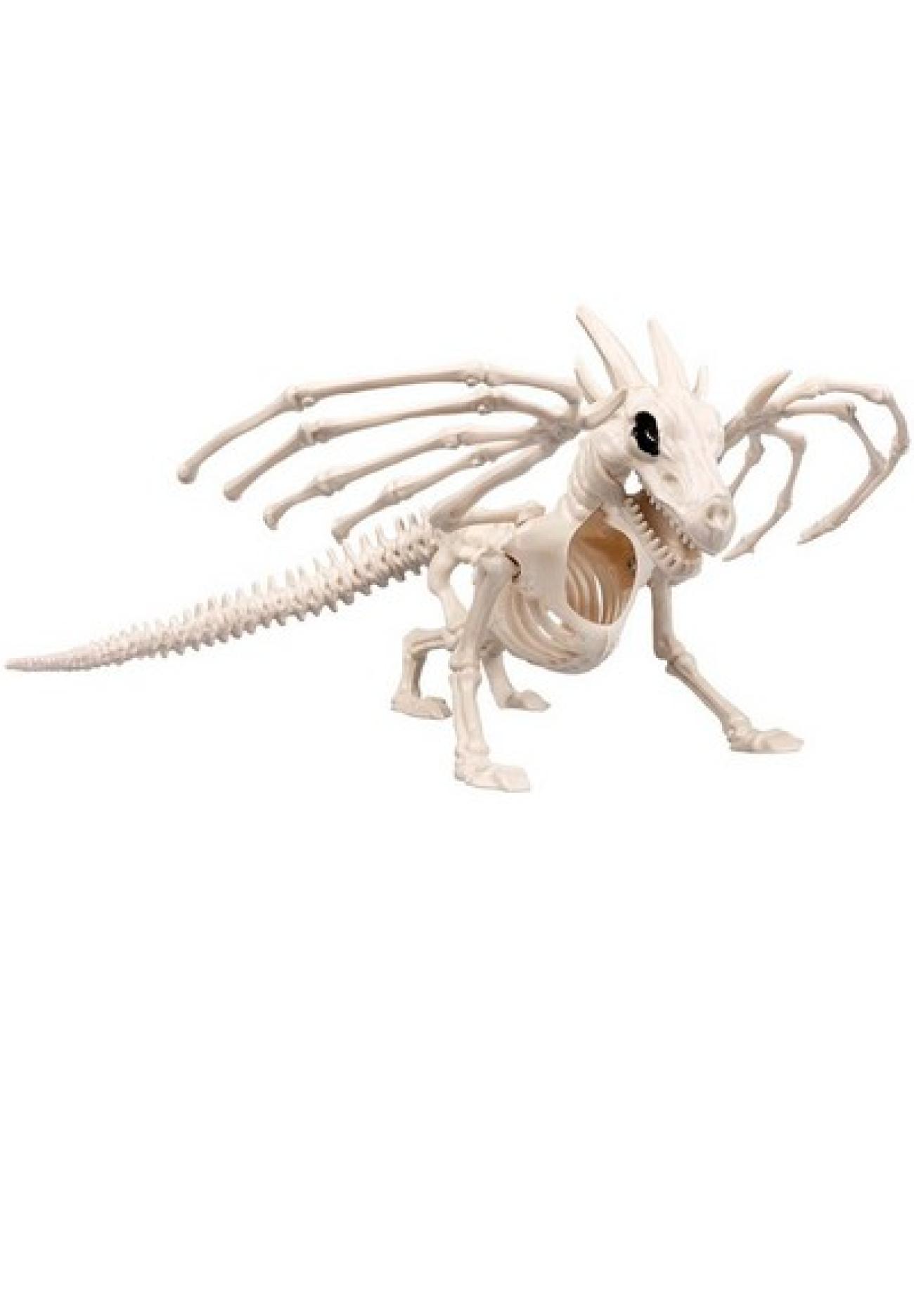 Dragon skeleton (37 cm) H