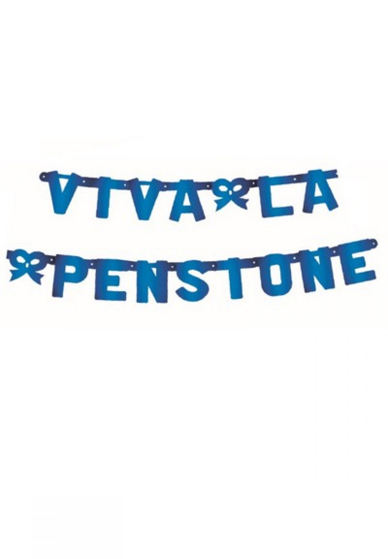 Festone Viva La Pensione XL blu metallizzato 240 x 15 cm