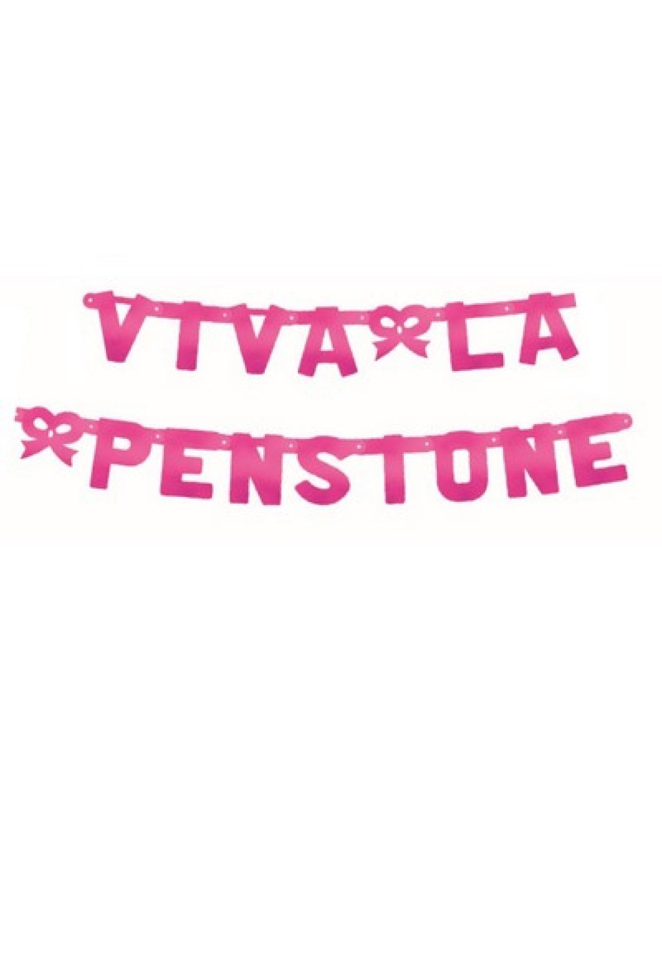 Festone Viva La Pensione XL magenta metallizzato 240 x 15 cm