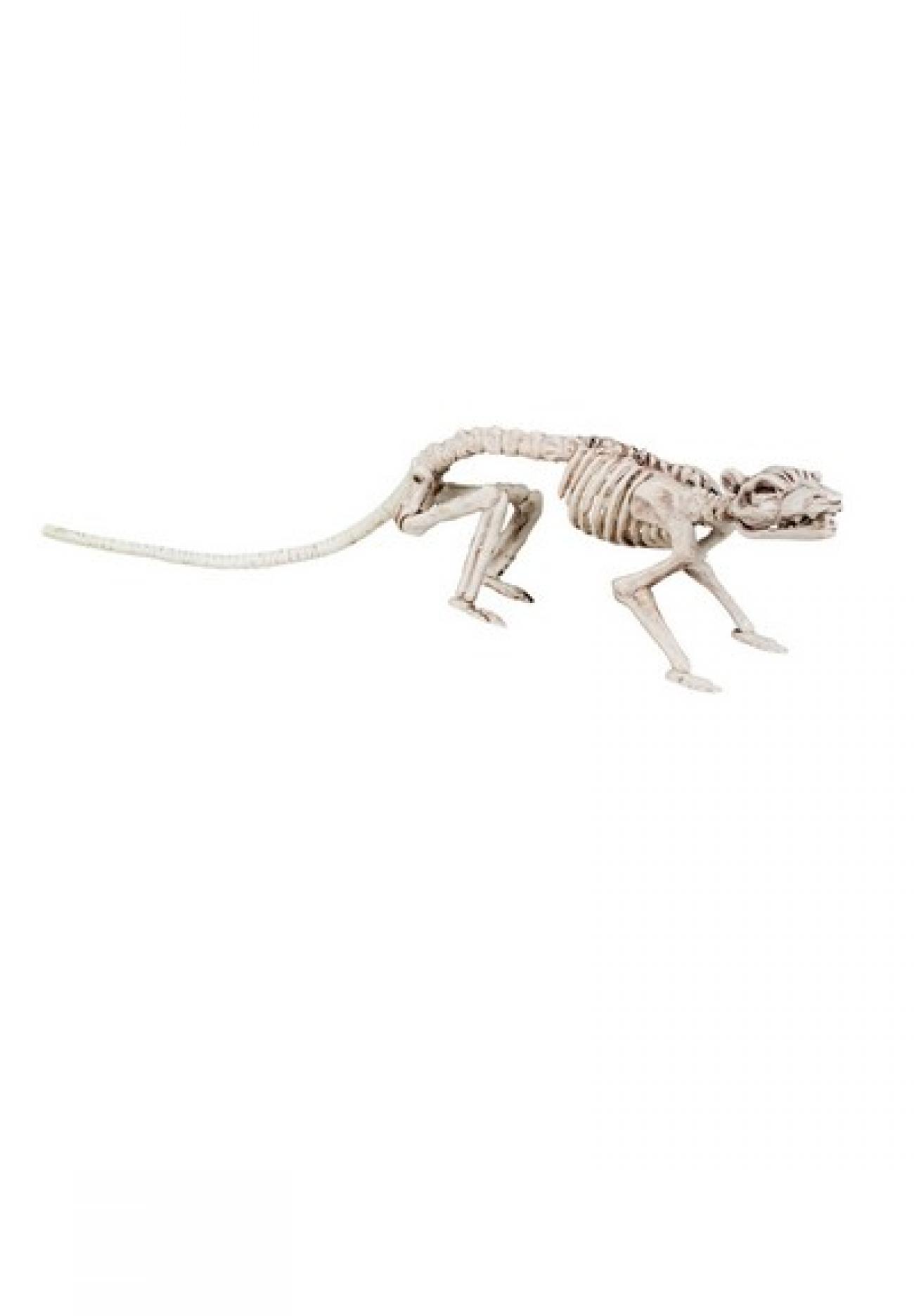 Decoration Rat skeleton 35cm H