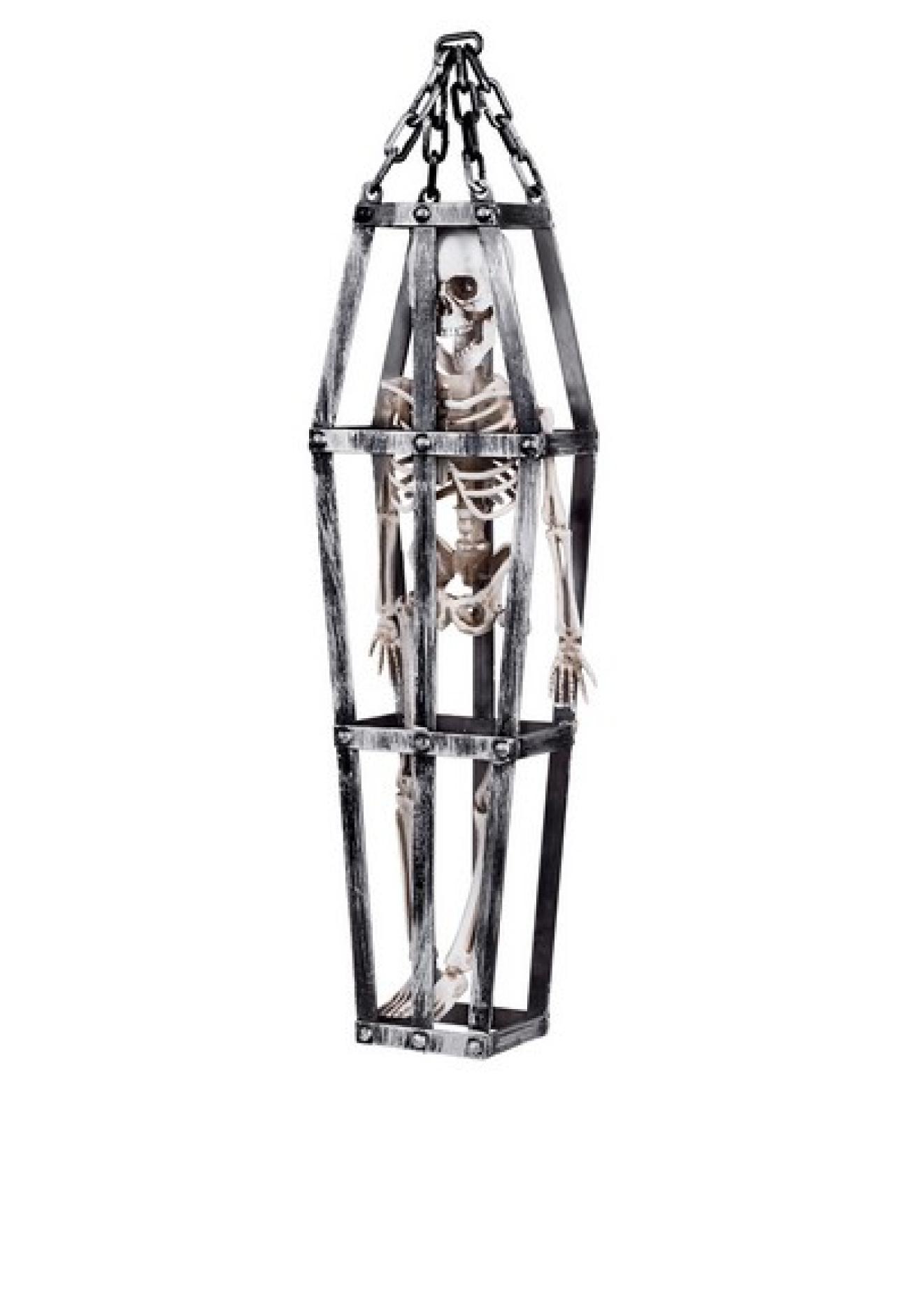 Pc. Skeleton in cage (50 cm) H