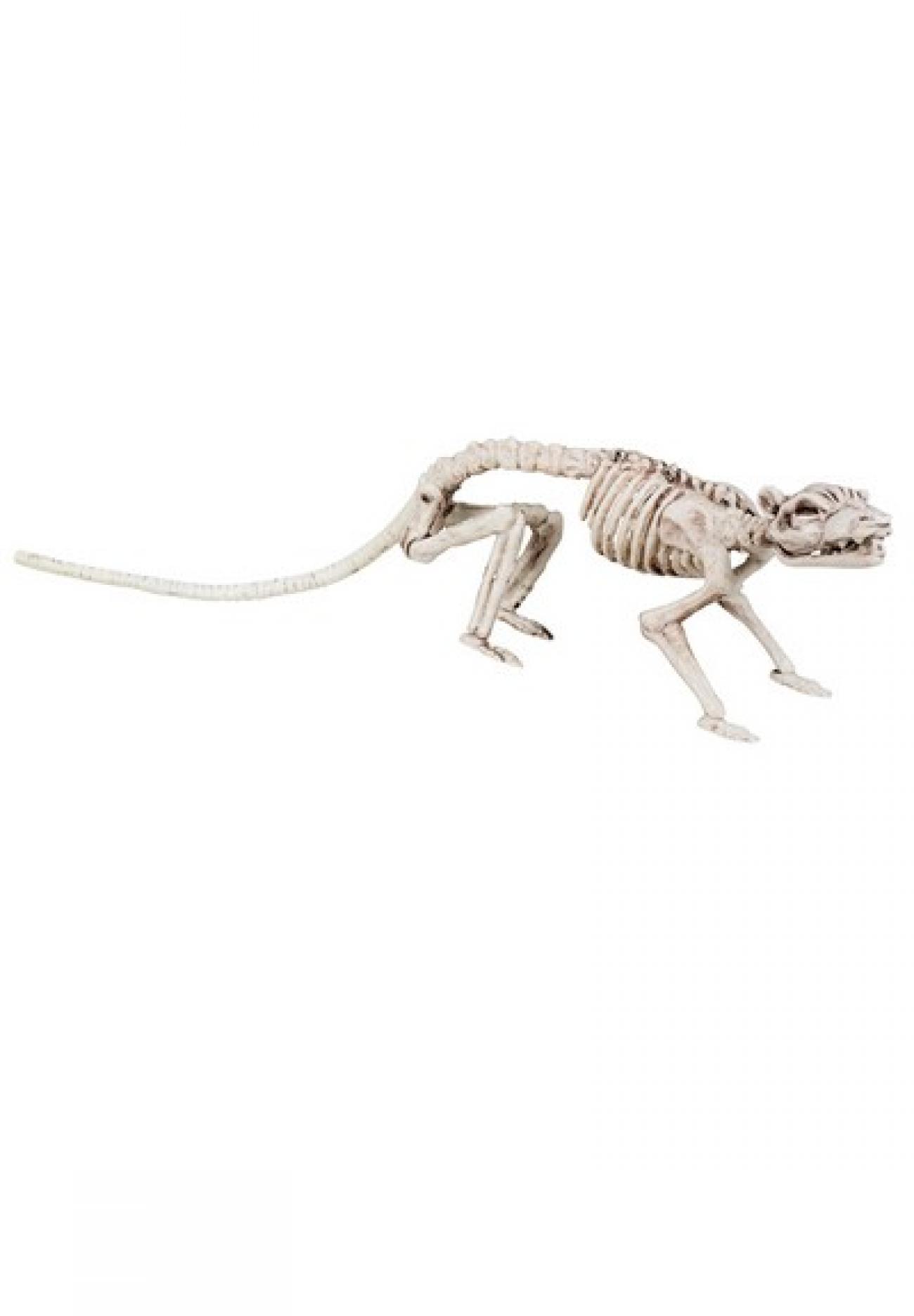 Decoration Rat skeleton 35cm H