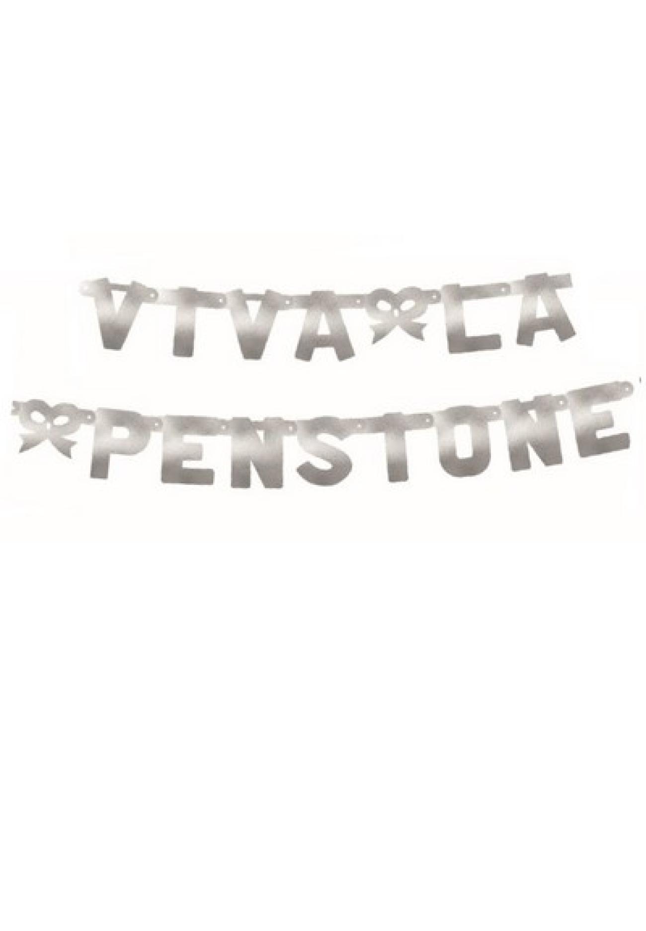 Festone Viva La Pensione XL argento metallizzato 240 x 15 cm