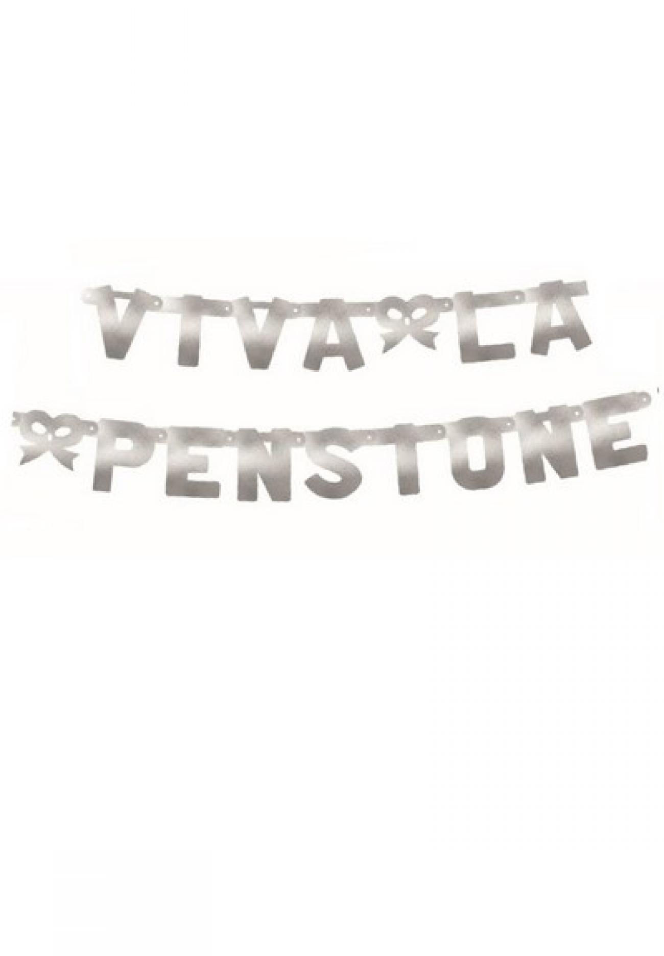 Festone Viva La Pensione XL argento metallizzato 240 x 15 cm