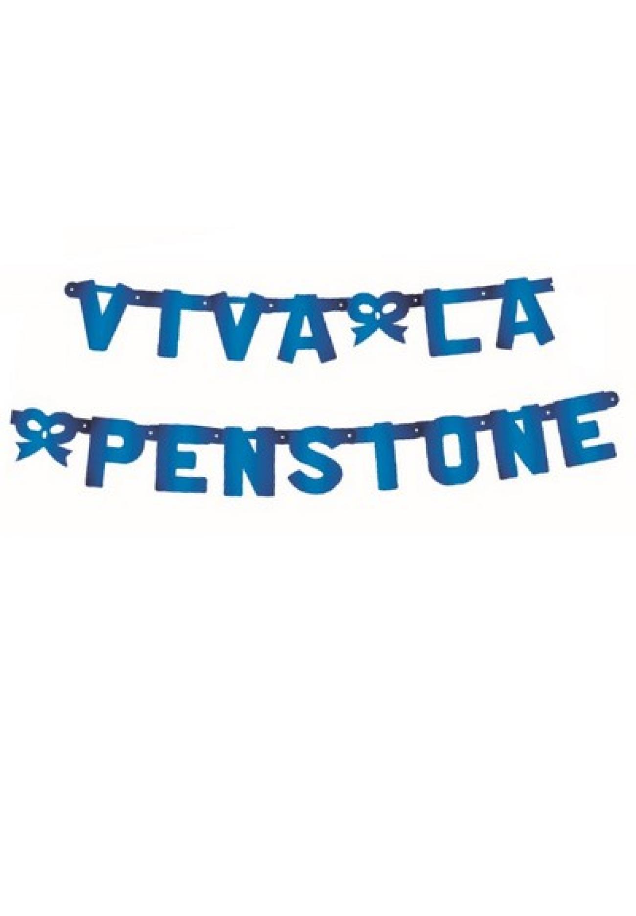 Festone Viva La Pensione XL blu metallizzato 240 x 15 cm